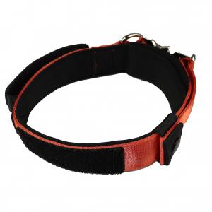 China 30 28 Inch Custom Dog Collars For Large Dogs Xl  Xs Xxs Nylon Custom Pet Collar Metal Buckle on sale