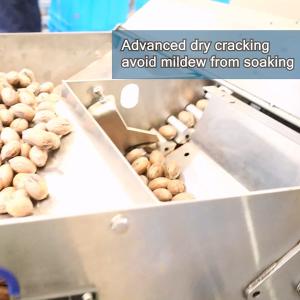 Wholesale 220V CE Dry Cracking Pecan Shelling Machine Connect To IR Kernel Shell Separator from china suppliers