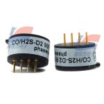 CO/H2S-D2 Dual Gas Sensor Gas Detectors For Personal Safety Cover Almost Every