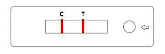 SARS-COV-2 World's Fastest Antigen Testing Kit - RESULTS IN 15 minutes!!! 5