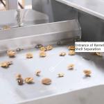 2 Tons Automatic Feeding Walnut Shelling Machine Featured Kernel Shell