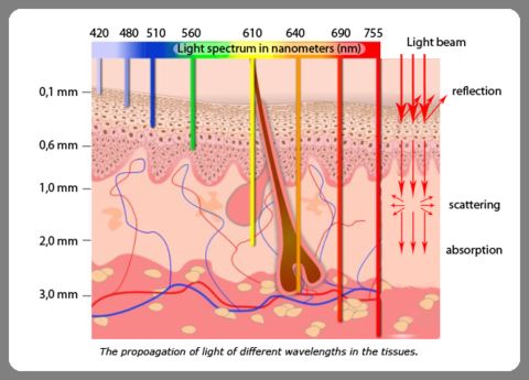 610nm IPL Skin Rejuvenation Machine Opt Shr Hair Removal For Clinic