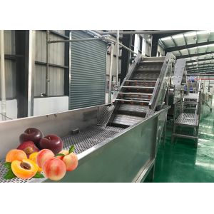 Wholesale Water Saving Fruit Processing Line Apricot Juice Concentration Safety Control from china suppliers