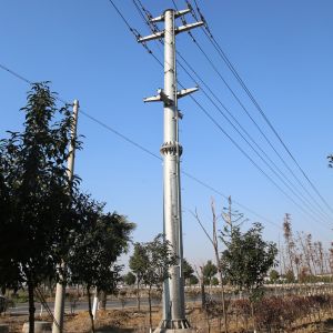 Wholesale Gr65 Ss400 Steel Utility Pole Tubular Monopole Antenna Tower Galvanized from china suppliers