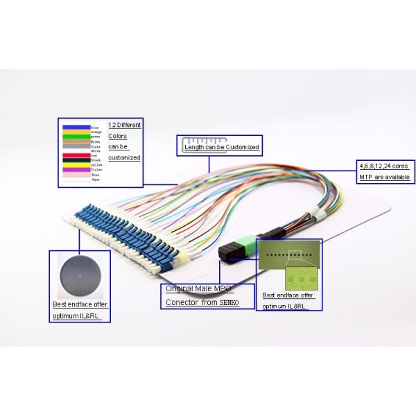 OM4 MM Fan Out MTP Female SC APC Patch Cord