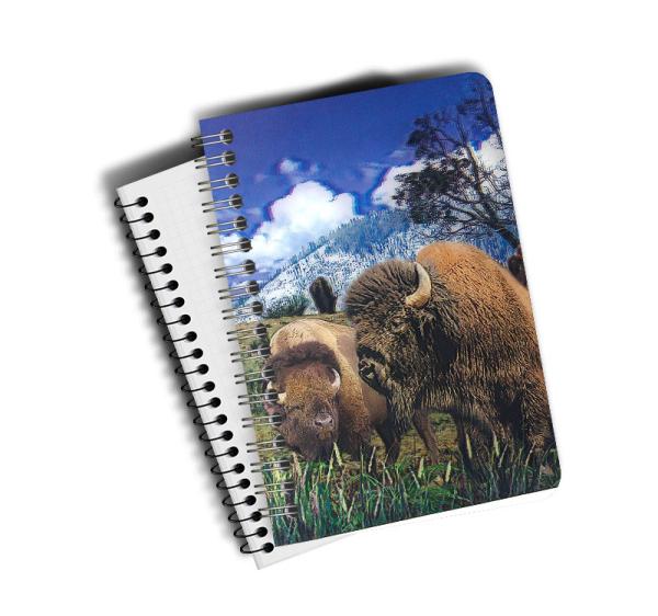 Quality A5 PET 3D Lenticular Notebook Customized Spiral Bound Notebook SGS Listed for sale