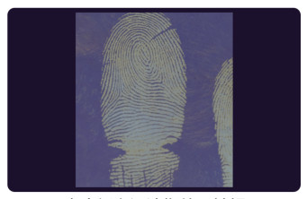 C205 BTDM-Ⅰ Vacuum coating fingerprint developing instrument