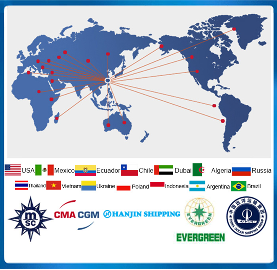 1x7 3.0mm Greenhouse Cable Galvanized Steel Cable Wire for Grape Trellis Support Reinforcement and Strengthening