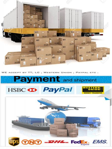 loading and shipping-small.png