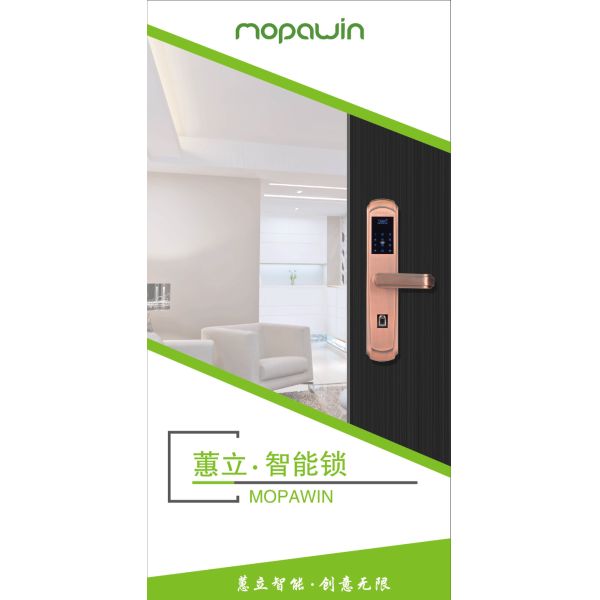 Fingerprint Intelligent door lock digital door lock keyless touch lock Biological fingerprint lock