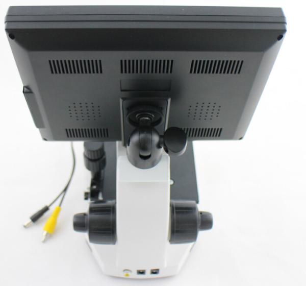 Quality CE Approved OEM LCD Screen Color Microcirculation Microscope for Nail Checking for sale