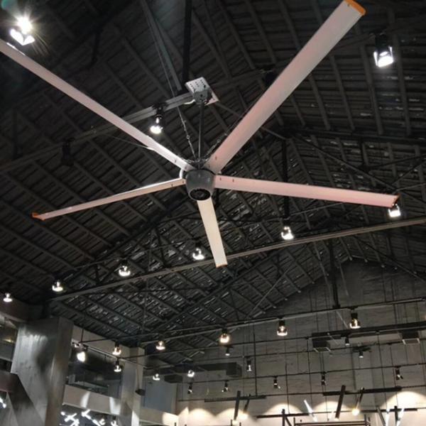 Quality 2.4m Gearless ceiling fan and BLDC ceiling fan with High Speed Ceiling Fan for sale