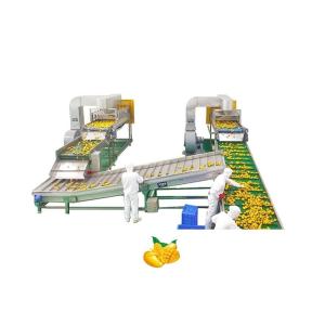 Wholesale Automatic 380V Mango Processing Line Industrial Juice Making Machine from china suppliers