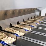 Large Capacity High Speed Pistachio Sorting Machine With CE Certificate For All