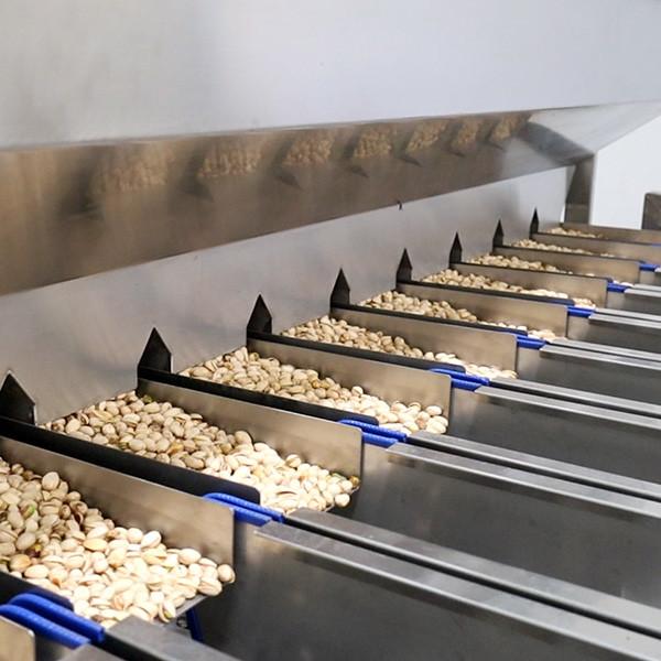 Large Capacity High Speed Pistachio Sorting Machine With CE Certificate For All