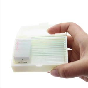 China Hot sale 15 pcs bacterial microbiology prepared glass microscope slides for laboratory biology research on sale