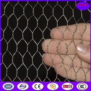 Wholesale Hot Dipped Galvanized Chicken Wire Mesh , 50mm 2'' Bird Cage Wire Mesh from china suppliers