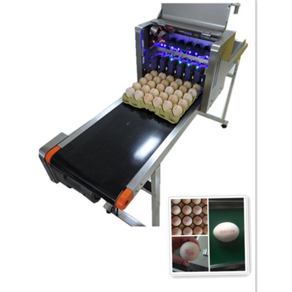 Eggs Continuous Inkjet Printer With Date Automatically Updated Programme