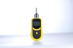 Sound / Light Alarm O2 Gas Detector Portable Pumping With Data Logging Function