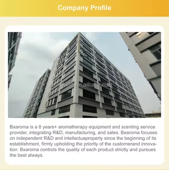 Portable Car Scent Diffuser & Air Freshener Combo - USB/Cigarette Lighter Dual Power Supply