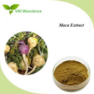 China Natural Maca Root Extract Powder Supplyment Lepidium Meyenii Walp Extract on sale