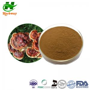 Wholesale Reishi Mushroom Extract Powder Ganoderma Lucidum Extract 223751-82-4 from china suppliers