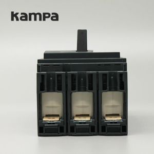 Modle Case Circuit Breaker NSX-100 3P MCCB