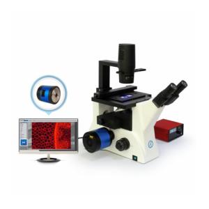 China Streamlined Design B80iF Inverted Biological Microscope For Cell Tissue Observation on sale