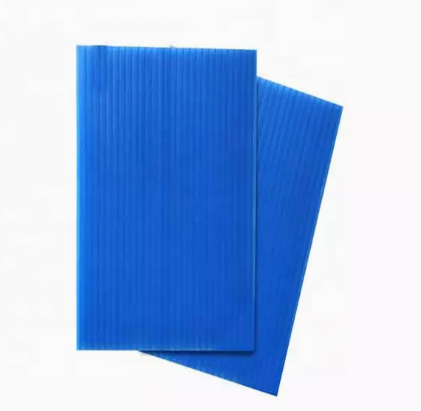 Vegetables Fruit Packaging Boxes Corrugated Plastic Static Protective