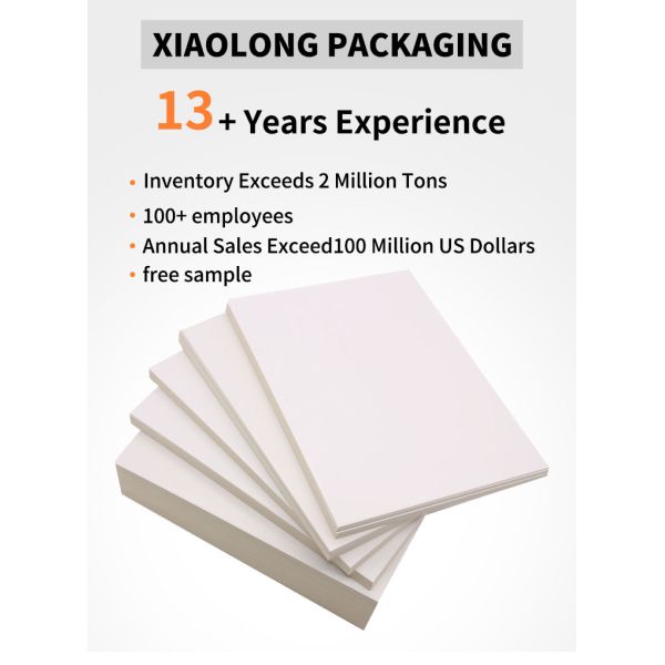 Uncoated White Folding Box Board C1S FBB Jumbo Roll for Eco-Friendly Packaging