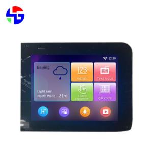 Wholesale High Resolution 2048x1536 IPS TFT Computer Monitor 9.7 Inch EDP Interface 51PIN from china suppliers