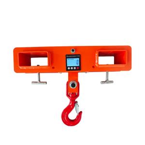 China SINOLIFT SK series Electronic scale forklift fork crane on sale