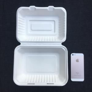 Wholesale Rectangle Biodegradable 600ml Disposable Bento Lunch Box Sugarcane Pulp from china suppliers
