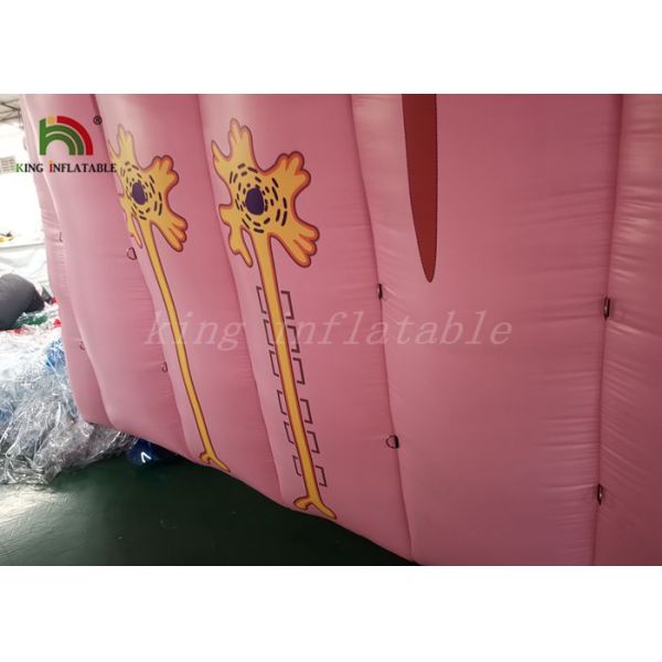 Customized Size Inflatable Event Tent Simulation Brain Model For Medical Show