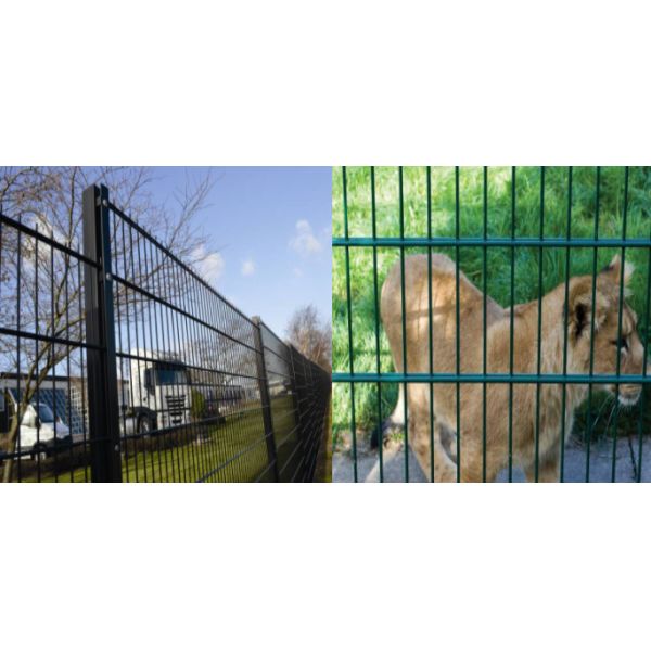 OEM Twin Wire Double Loop Wire Fencing with Square Post 50*100mm