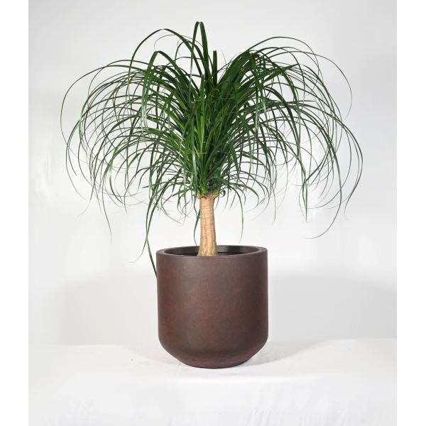 Stunning Garden With Our Durable Fiber Clay Planters D440*390MM