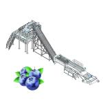 12brix Full Automatic Strawberry Processing Equipment