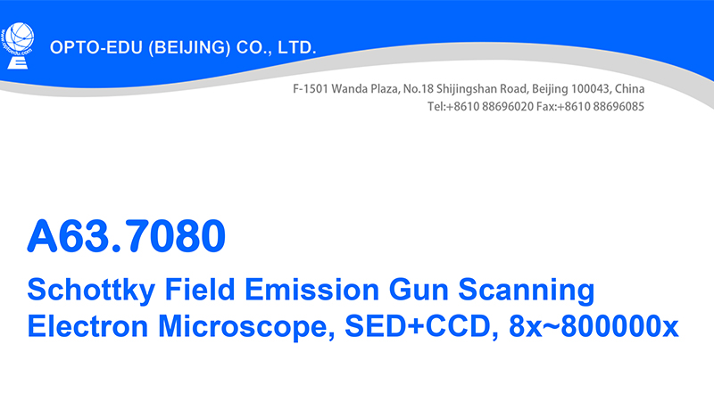 Controled Mouse Scanning Electron Microscope Sem 8x~800000x Magnification
