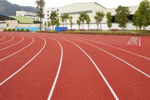 Wholesale High Elasticity Blue Red 13mm Artificial Running Track Fadeless from china suppliers