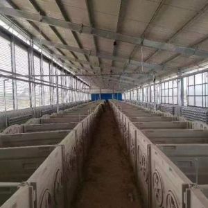 1880mmx1460mmx1230mm Calf Fence Calf Protective Shelter For Newborns