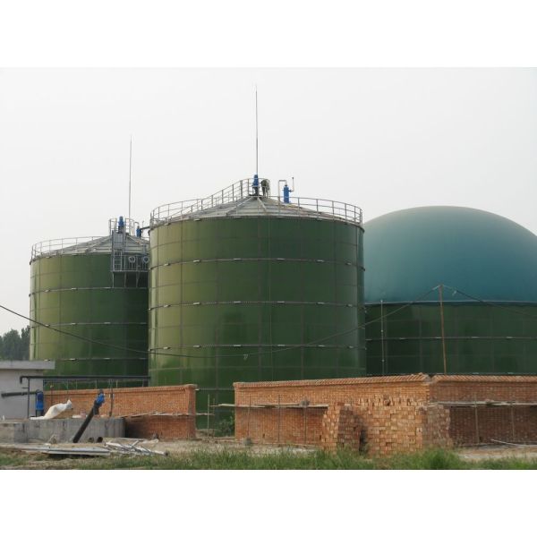 3000M3 Green Double Membrane Biogas Dome , Automatic Control Bio Gas Holder