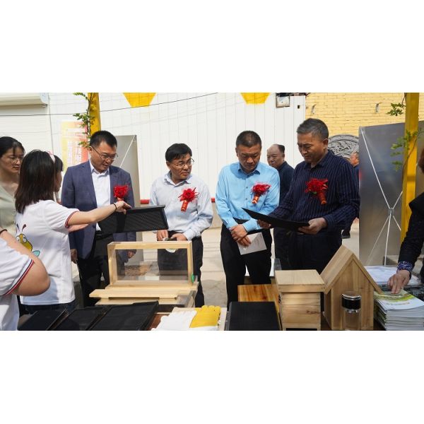 Styrofoam Queen Bee Mating Box 24*15*16.5cm Queen Rearing Nucleus Hive