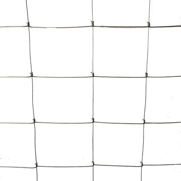 100g/M2 Zinc Coated Hinge Joint Fence , 1m High Galvanized Cattle Fence