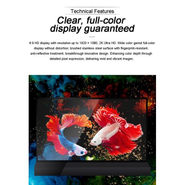 4K Ultra HD Resolution Transparent OLED Screen Digital Signage and Display with Pen/Finger Touch Writing Method 30 Inch