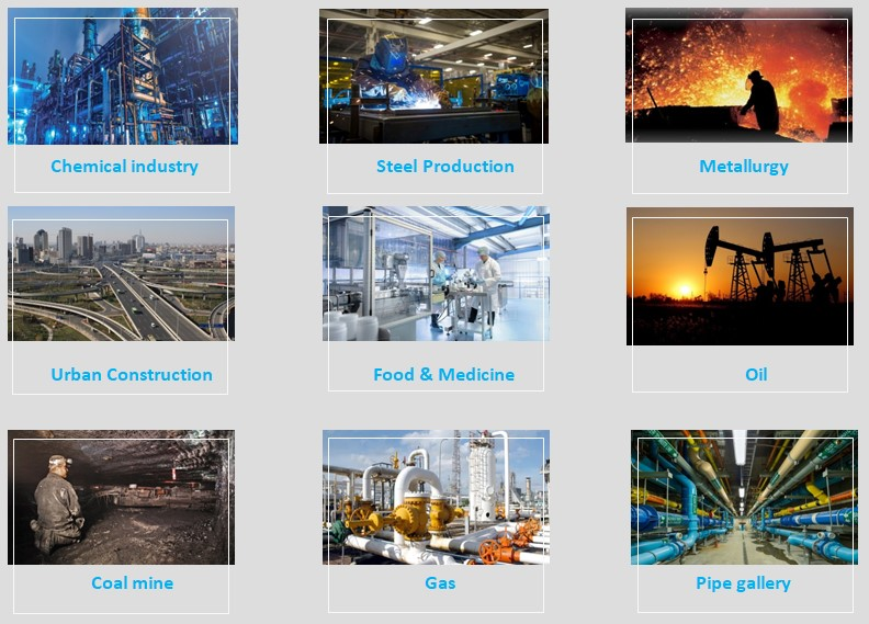 Portable multi gas detector