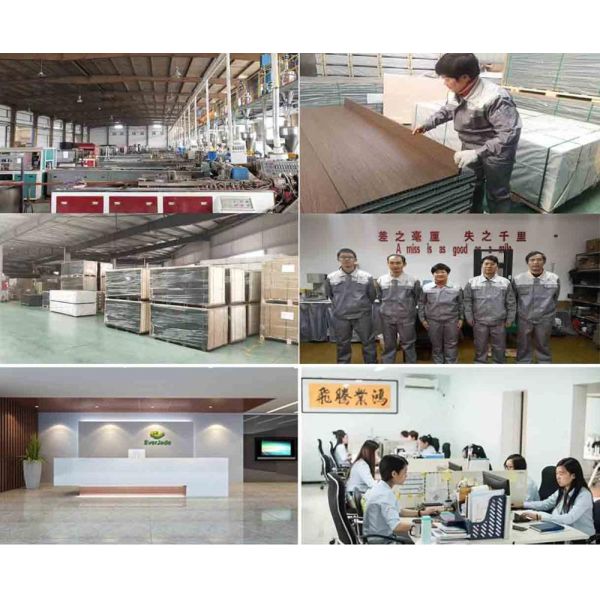 Good Sound Insulation Plasticity PVC Foam Board for Interior Decoration in Diverse Styles