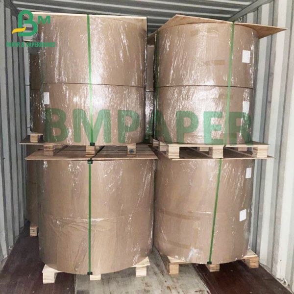 Excellent Water Absorbent Paper And Paperboard Blotter 0.5mm Thick Excellent Water Absorbent Paper And Paperboard Blotter 0.5mm Thick