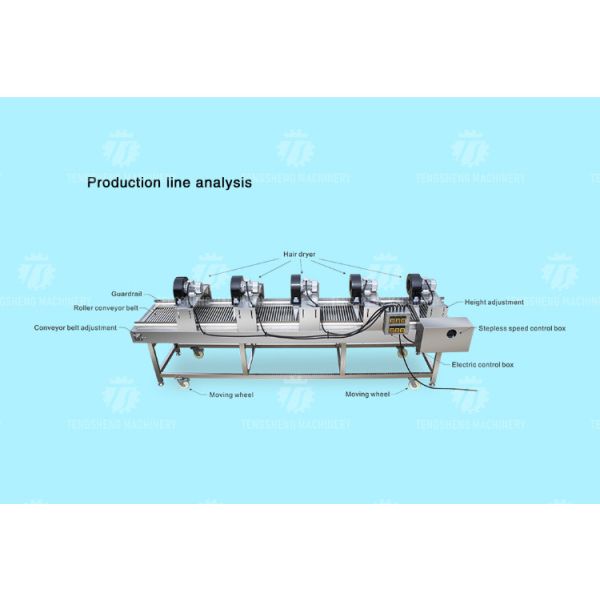 350KG 380V Vegetable air drying line fruit parallel air drying machine packaging air drying