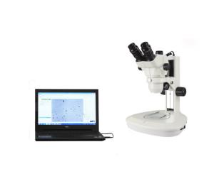 Wholesale Windows 10 GBT6030 Rubber Carbon Black Dispersion Tester from china suppliers