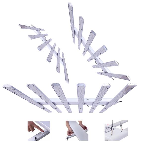Quality 360W Hydroponics LED Grow Lights With Timer Full Spectrum Module Design for sale